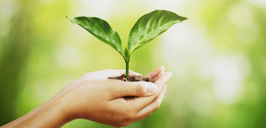 Nachhaltige Produkte