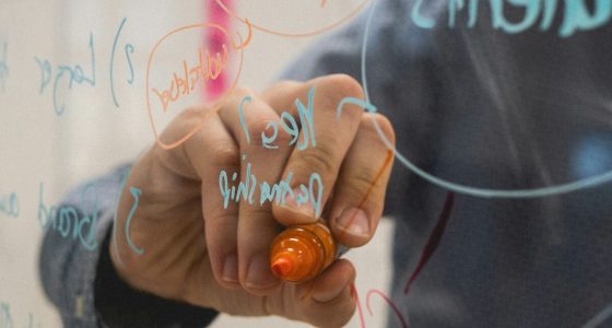 person holding orange flower petals